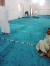 سجاد المساجد