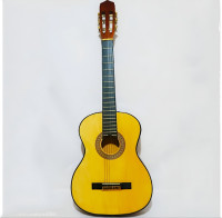 guitare-acoustique-les-eucalyptus-alger-algerie