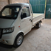 voitures-gonow-mini-truck-double-cabine-2014-medea-algerie