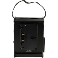 Aputure 2-Bay Battery Power Station (Gold Mount)