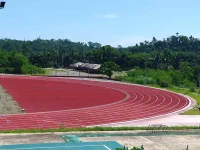 REVETEMENT SOLS SALLES SPORTIF