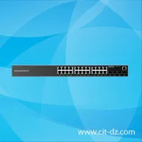 Switch 24 port