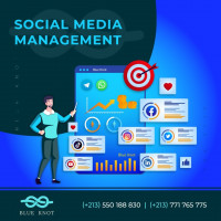 publicite-communication-social-media-management-alger-centre-algerie