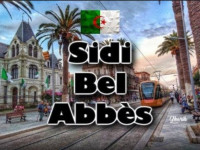 commercial-marketing-فرصة-عمل-sidi-bel-abbes-algerie