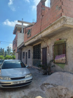 appartement-vente-f3-blida-larbaa-algerie