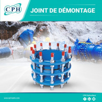 materiaux-de-construction-joint-demontage-pn16pn25-djelfa-algerie