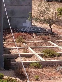 أرض-بيع-تلمسان-غزوات-الجزائر
