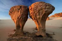 Tamanrasset réveillon 2024