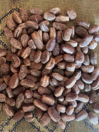 بذور-أرز-حبوب-graines-de-chia-بلوزداد-الجزائر