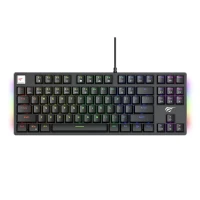 CLAVIER GAMER MECANIQUE HAVIT KB890L