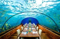 Maldives Maldives مالديف