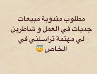 تجارة-و-مبيعات-مندوب-vendeur-الجزائر-وسط
