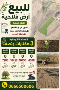 أرض-فلاحية-بيع-برج-بوعريريج-مجانة-الجزائر