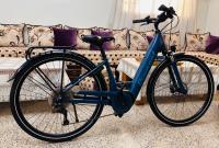 articles-de-sport-velo-electrique-diamant-oran-algerie