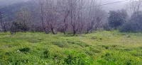 Vente Terrain Tizi Ouzou Beni aissi