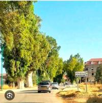 شقة-بيع-3-غرف-سكيكدة-السبت-الجزائر
