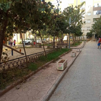 appartement-cherche-location-alger-bordj-el-bahri-algerie