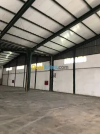 Location Hangar - Usine Alger Baraki