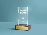 impression Trophée,trophé lazer