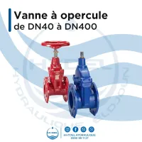 Vanne à opercule (Vanne à bride) DN40-DN600 - (PN10 à PN25)