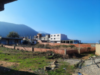 terrain-vente-jijel-ziama-mansouriah-algerie