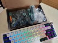 Clavier mécanique custom build (GMK67 + GATERON PRO 3 SWITCHES + DOUBLE SHOT XVX KEYCAPS)