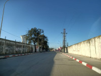 hangar-vente-annaba-algerie