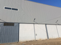 hangar-location-blida-guerrouaou-algerie