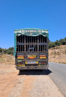 camion-hyundai-hd35-2011-jijel-algerie