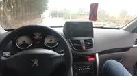 Peugeot 207 2012 Fennec