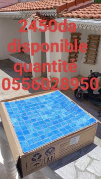 construction-travaux-mosaique-piscine-bejaia-algerie