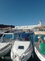 bateaux-rigide-drago-660-hors-bord-2006-cherchell-tipaza-algerie