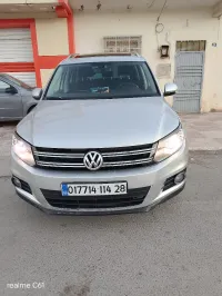 Volkswagen Tiguan 2014 Cup