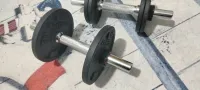 haltères modifiables 12kg