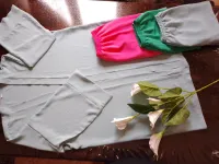 الجزائر 