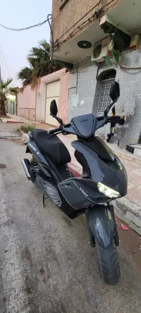 Driver VMS 2022