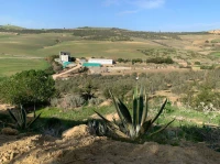 Vente Terrain Agricole Oran Ain el kerma