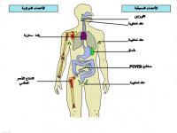 ecoles-formations-cours-de-soutien-en-sciences-naturelles-el-biar-alger-algerie