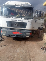 camion-شكمان-2009-tiaret-algerie