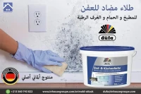 Peinture spécial cuisine salle de bain et hammam 