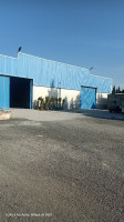 hangar-location-setif-ain-arnat-algerie