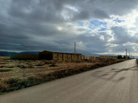 terrain-vente-oran-tafraoui-algerie