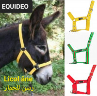 accessoire-pour-animaux-materiel-equitation-licol-ane-رصن-للحمار-mohammadia-alger-algerie