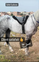 accessoire-pour-animaux-materiel-equitation-selle-a-cru-سرج-mohammadia-alger-algerie