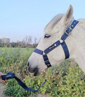 Matériel équitation cheval 