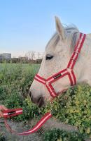 accessoire-pour-animaux-materiel-equitation-cheval-mohammadia-alger-algerie