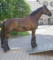 Matériel équitation Protection transport voyage cheval  noire