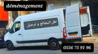 fourgon-master-transport-et-demenagement-toutes-les-distances-2012-baraki-alger-algerie