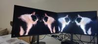 Monitor gigabyte MO27U2 OLED 27 240HZ thumbnail 4