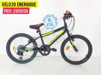 articles-de-sport-velo-20-energique-les-eucalyptus-alger-algerie